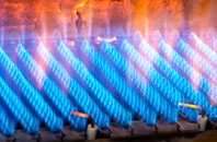 Loyterton gas fired boilers
